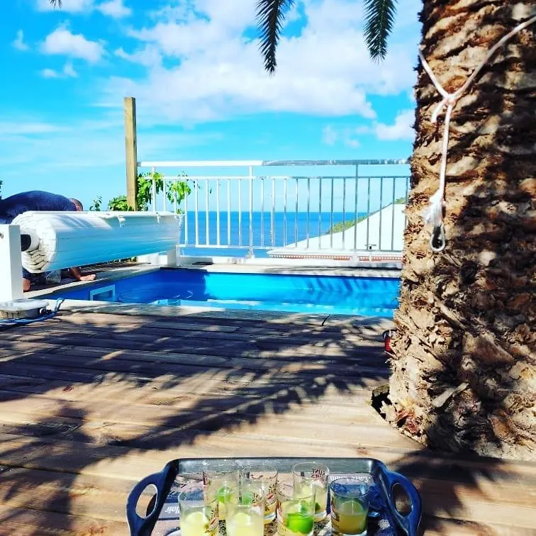 Rose Phoenix Appartement Terrasse Et Piscine Vue Mer Les Anses-d'Arlets